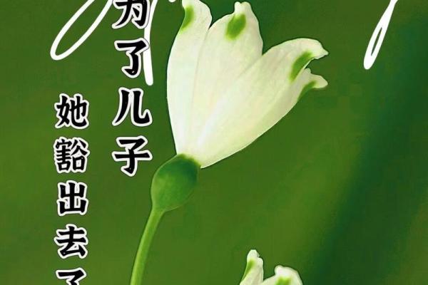 妻命与夫命不合，究竟意味着什么？探讨婚姻的命理奥秘