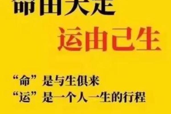 命由天定，运由人造：探索命运与主动选择的关系