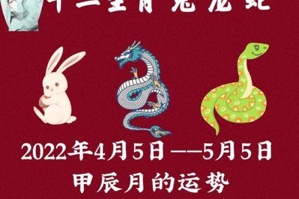 2024年出生的命运解析：揭秘兔年宝宝的性格与运势