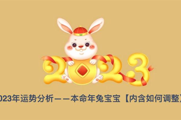 2012年兔年出生的人命运解析：如何把握机遇与挑战