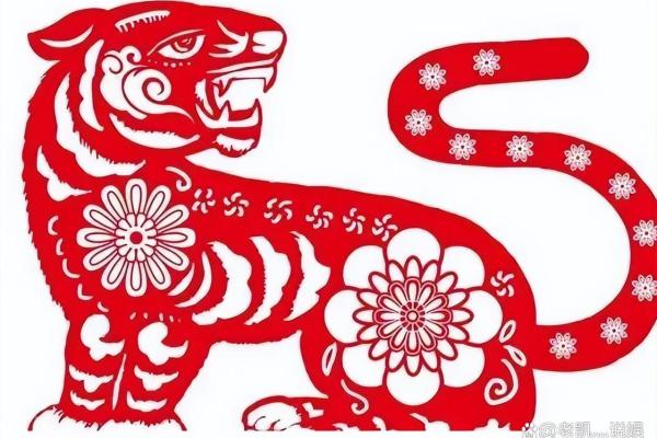 1962年农历属虎的人命运解析：他们的性格、事业与爱情