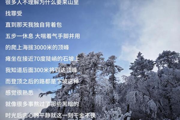 60年命运之轮：探索生命的意义与价值