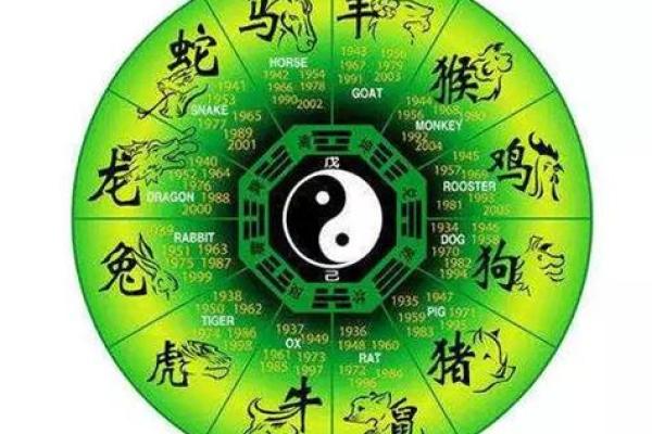 28岁属什么生肖？详解28岁命运与事业发展