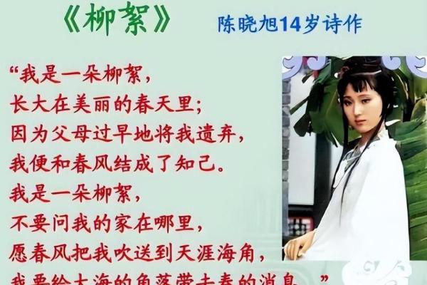 1992年2月出生的命运解析：揭示今生的独特人生轨迹