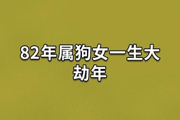 1982年出生的人的命运与性格解析