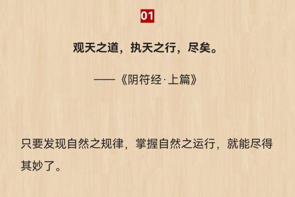 1966年出生的生肖与命火：解码人生的奥秘与机遇
