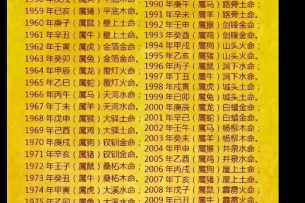 木命人和水命人的区别与特征解析