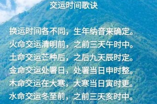 木命与土命的职业选择：适合发展的领域与方向