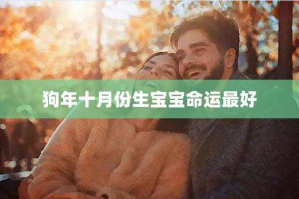 2018年狗年生人的命运与人生解析：如何把握机遇实现目标