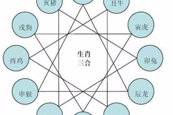 2021年属虎人的命理解析：运势、性格与生活智慧