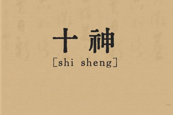 探秘命理：7两6的命运与人生轨迹的深度解析