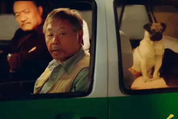无家可归浪子命运如同孤独的流浪猫，何时才能找到温暖的港湾？