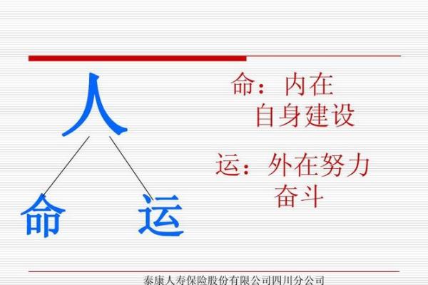 命运掌握在自己手中：命运与成语的深刻联系