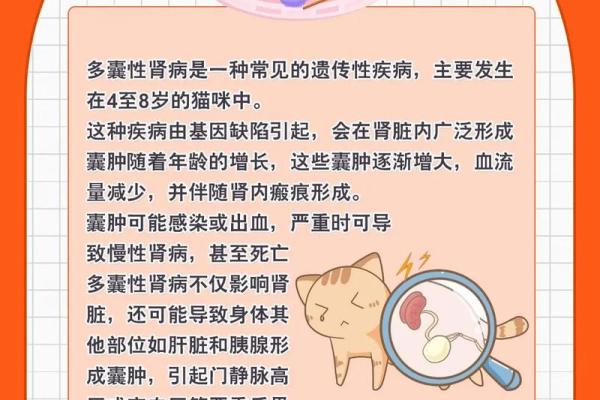 适合繁育猫咪的人特征与方法探讨