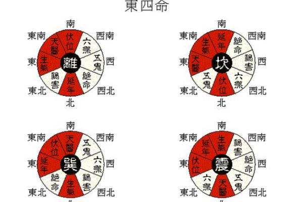 西四命与东四命：解读风水命理的奥秘
