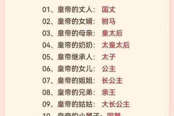 2024年是什么属相与命运解析：解锁兔年新机遇与挑战！