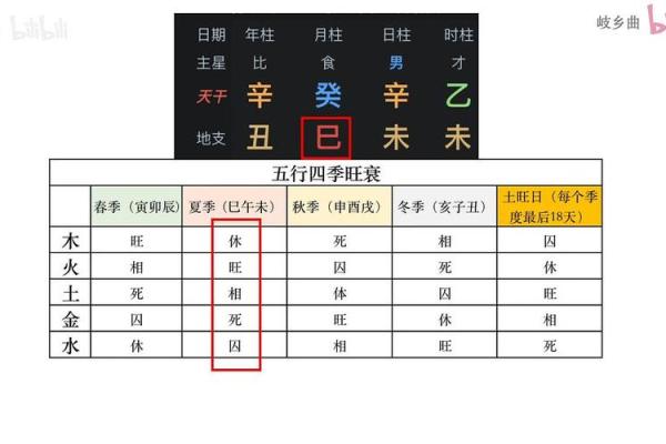 八字五行揭秘：如何判断命理的旺衰与应用
