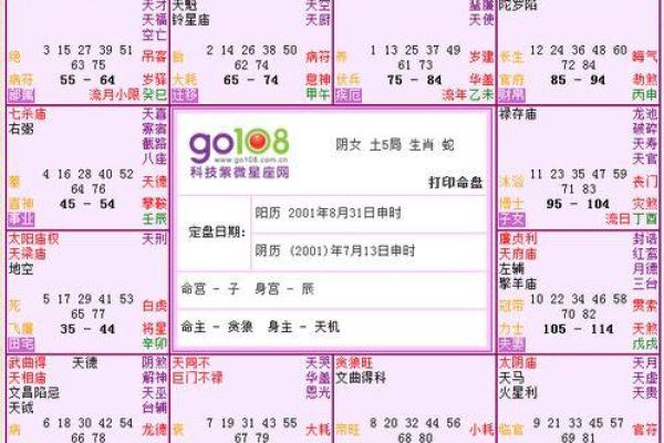 2013年出生的你，命运与性格的深度解析！
