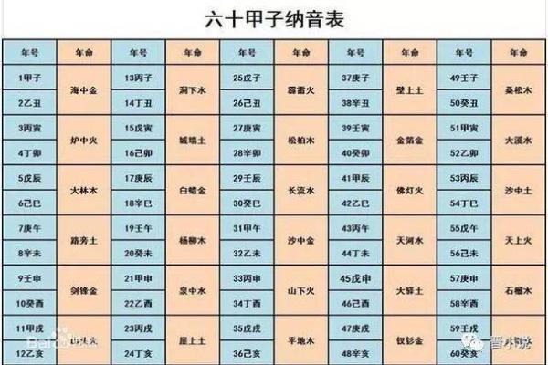 阴历鼠年出生的命运解析：五行与性格的奇妙关系