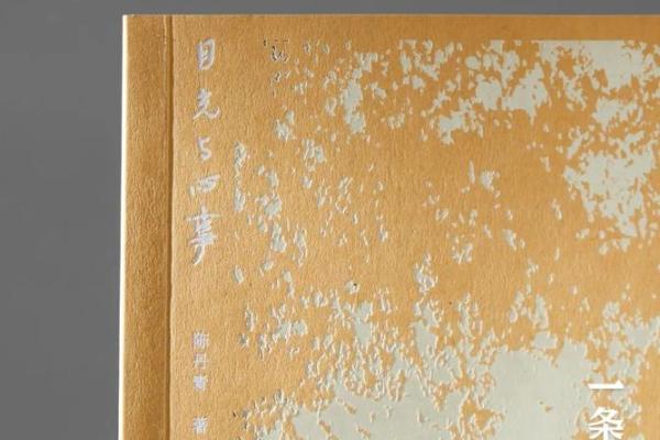 90年代孩子的命运：成长与变革的历程