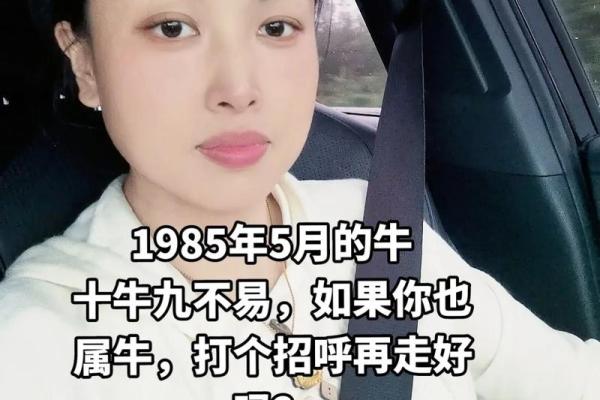1985年牛年出生的命运与人生解析
