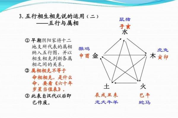 属鸡的火命：掌握命理，缺什么生肖才能助运？