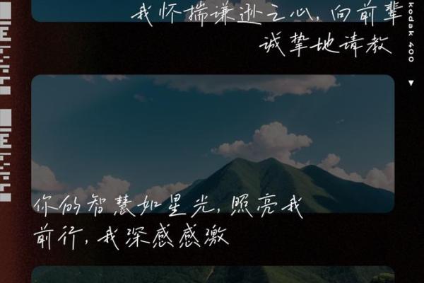 无食伤命局的奥秘揭示：如何在平淡中汲取力量与智慧