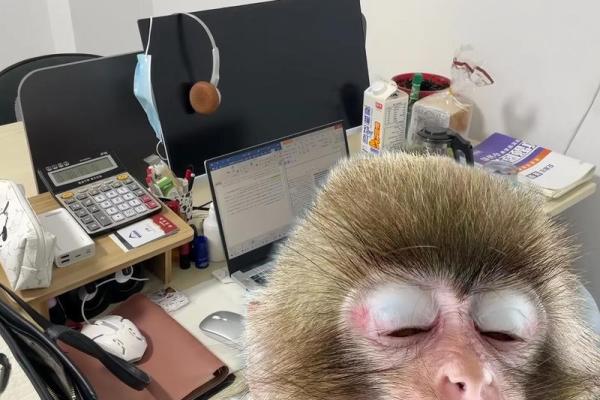 广西人的命是什么命：探寻灵魂深处的文化之根与生活智慧