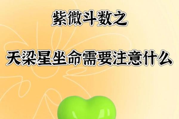 广西人的命是什么命：探寻灵魂深处的文化之根与生活智慧