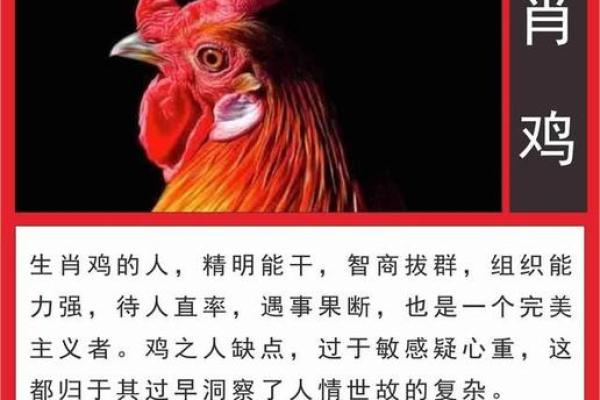 1993年属鸡的人命运揭秘：优势与挑战并存的生活之路