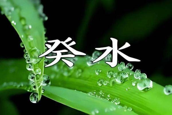 癸水命男与最佳搭配：寻找命中注定的另一半