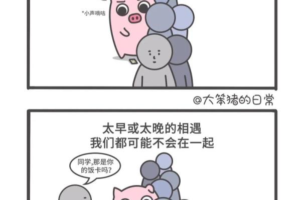 巧妙牵线，命中注定：命运与机缘的完美交织