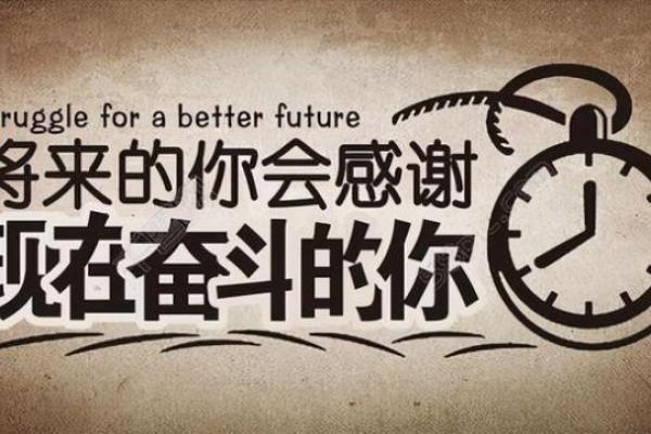 2000年属龙人：阳光下的奋斗与光辉人生