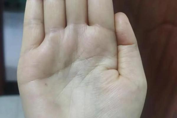 19980110出生命理解析：揭示人生的秘密与发展方向