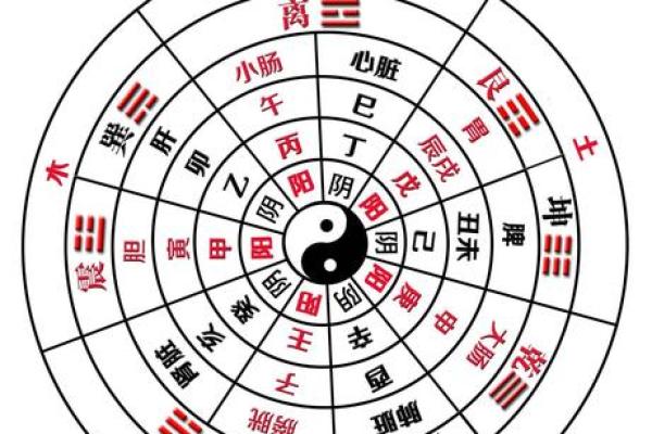 探秘金命与相克命理的深层关系，解读五行之奥秘！