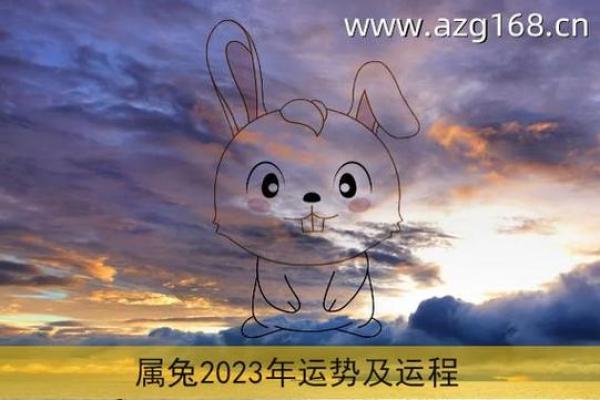 探秘1987年兔年的命理与性格特征，让你更懂自己与他人！