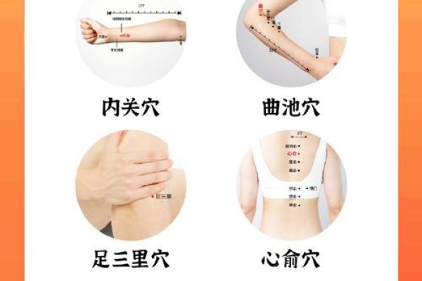 命理中“人元命”的深刻解析与人生启示