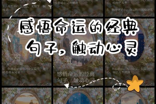 2010年属鸡人命理解析：命运之路与人生指导