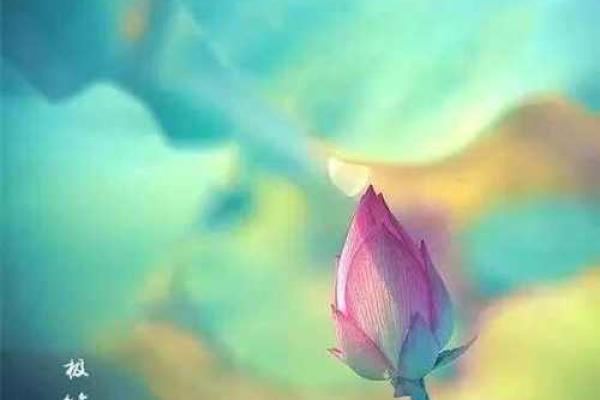 命里桃花：揭开桃花运的神秘面纱与人生真谛