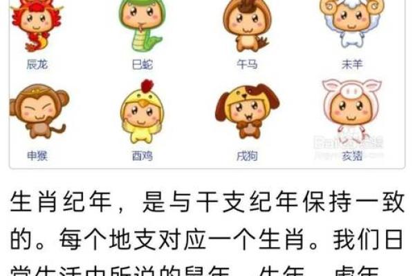 1972年虎年出生的人是什么命？揭开命运的神秘面纱！