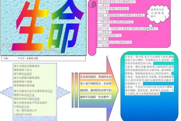 我惜命命不惜我——探寻生命的意义与价值