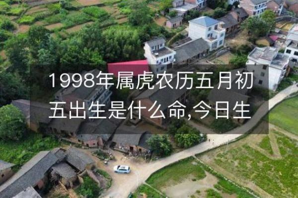 探索1962年属虎的命理特征与人生启示