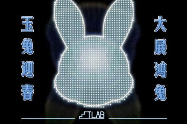 2033年——如何迎接兔年，解读命理魅力与生活智慧