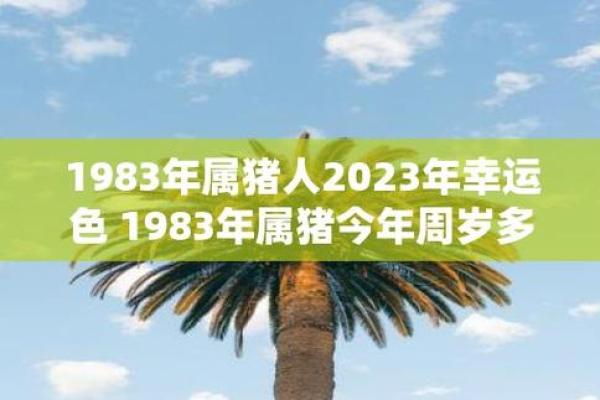 2007年属猪之人的命运与性格解析，幸福与挑战并存