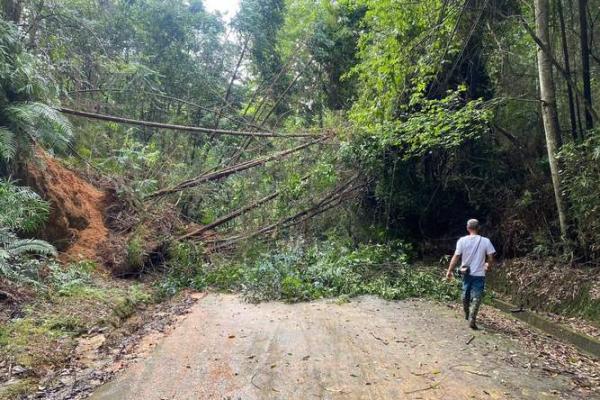 1986年10月出生的人命运与特点分析 1986年10月出生的人命运与特点分析
