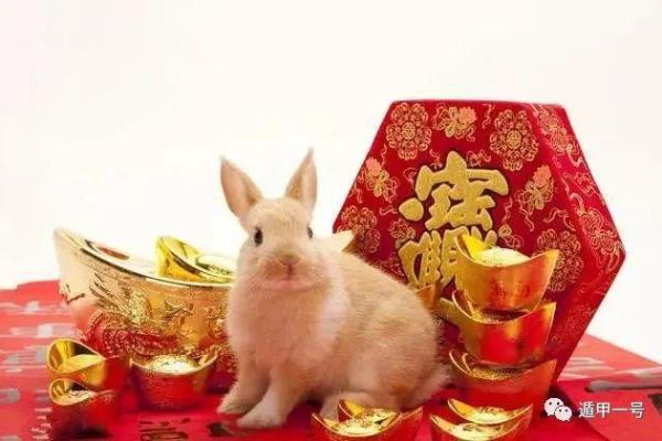 1963年兔年,命运与性格的完美结合 1963年兔年,命运与性格的完美结合