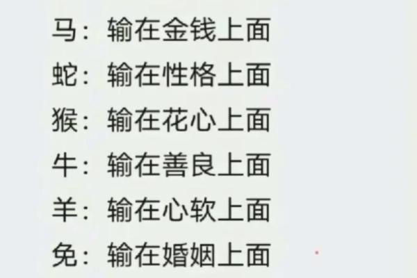 1997年出生者的命格解析：命中注定的辉煌与挑战