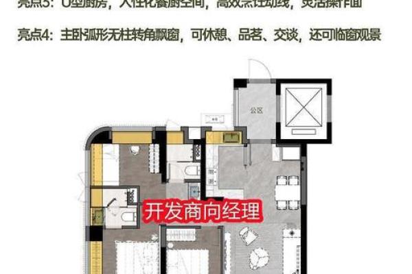 2019年牛年运势解析与命理解析,揭示你的潜力与挑战! 2019年牛年运势解析与命理解析,揭示你的潜力与挑战!