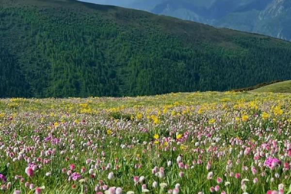 如何看待薄命男：命理中的神秘面纱与人生际遇