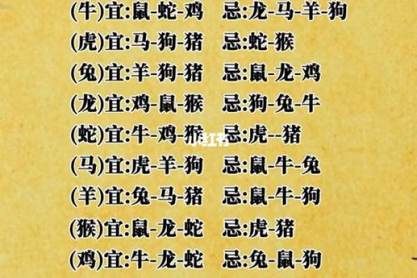 通过属相分析命运：揭示你的命理潜能与人生指引